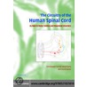 The Circuitry of the Human Spinal Cord door Emmanuel Pierrot-Deseilligny