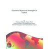 Executive Report on Strategies in Gabon door Inc. Icon Group International