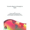 Executive Report on Strategies in Spain door Inc. Icon Group International