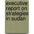 Executive Report on Strategies in Sudan