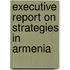 Executive Report on Strategies in Armenia