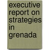 Executive Report on Strategies in Grenada door Inc. Icon Group International