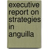 Executive Report on Strategies in Anguilla door Inc. Icon Group International