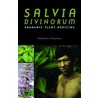 Salvia Divinorum - Shamanic Plant Medicine door Shaahin Cheyene