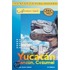 The Yucatan, Cancun & Cozumel, 3rd Edition