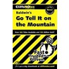 CliffsNotes Baldwins Go Tell It on the Mountain by Sherry McNett