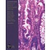 Morson and Dawson''s Gastrointestinal Pathology