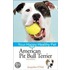 American Pit Bull Terrier Your Happy Healthy Pet