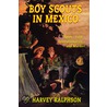 Boy Scouts in Mexico, or On Guard with Uncle Sam door George Harvey Ralphson