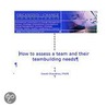 How to Assess a Team and their Teambuilding Needs by David Chaudron
