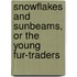 Snowflakes and Sunbeams, or The Young Fur-Traders