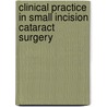 Clinical Practice in Small Incision Cataract Surgery door Luther L. Fry