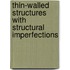 Thin-Walled Structures with Structural Imperfections