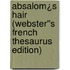 Absalom¿s Hair (Webster''s French Thesaurus Edition)