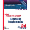 Sams Teach Yourself Beginning Programming in 24 Hours door Greg Perry