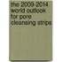 The 2009-2014 World Outlook for Pore Cleansing Strips