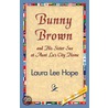 Bunny Brown and His Sister Sue at Aunt Lu''s City Home by Laura Lee Hope