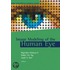 Detection of Retinal Blood Vessels Using Gabor Filters