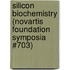 Silicon Biochemistry (Novartis Foundation Symposia #703)