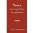 Tantra - Discovering the Power of Pre-Orgasmic Sex (eBook)