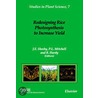 Redesigning Rice Photosynthesis to Increase Yield, Volume 7 by P.L. Mitchell
