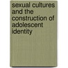 Sexual Cultures and the Construction of Adolescent Identity door Onbekend
