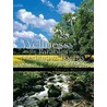 Wellness in the Parables Through Meditative Poems and Prose door Trevor Moorley