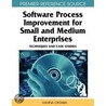 Software Process Improvement for Small and Medium Enterprises door Onbekend