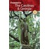 Frommer''s The Carolinas and Georgia (Frommer''s Complete #653)