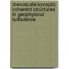 Mesoscale/Synoptic Coherent Structures in Geophysical Turbulence door Onbekend