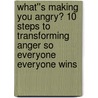 What''s Making You Angry? 10 Steps to Transforming Anger So Everyone Everyone Wins door Shari Klein