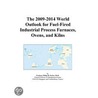 The 2009-2014 World Outlook for Fuel-Fired Industrial Process Furnaces, Ovens, and Kilns door Inc. Icon Group International