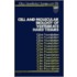 Cell and Molecular Biology of Vertebrate Hard Tissues (Novartis Foundation Symposia #717)