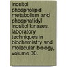 Inositol Phospholipid Metabolism and Phosphatidyl Inositol Kinases. Laboratory Techniques in Biochemistry and Molecular Biology, Volume 30. door Robert Malenka