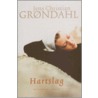 Hartslag door Jens Christian Grøndahl