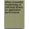 Effect of powder morphology of cellulose ethers on application performance by O. Borova