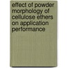 Effect of powder morphology of cellulose ethers on application performance door O. Borova