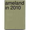 Ameland in 2010 door J.F. de Jong