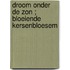 Droom onder de zon ; Bloeiende kersenbloesem