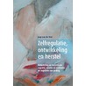 Zelfregulatie, ontwikkeling en herstel door Jaap van der Stel