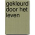 Gekleurd door het leven