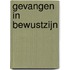 Gevangen in bewustzijn