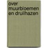 Over muurbloemen en druilhazen