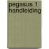 Pegasus 1 Handleiding