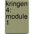 Kringen 4: module 1