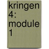 Kringen 4: module 1 by Vanroose