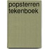 Popsterren tekenboek