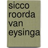 Sicco Roorda van Eysinga by Maja Indorf