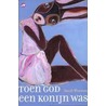 Toen God een konijn was by Sarah Winman