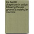 The Hsp90 chaperone in action: following the ATP cycle of a molecular machine